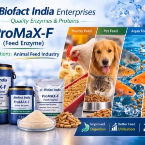 Feed Enzyme
