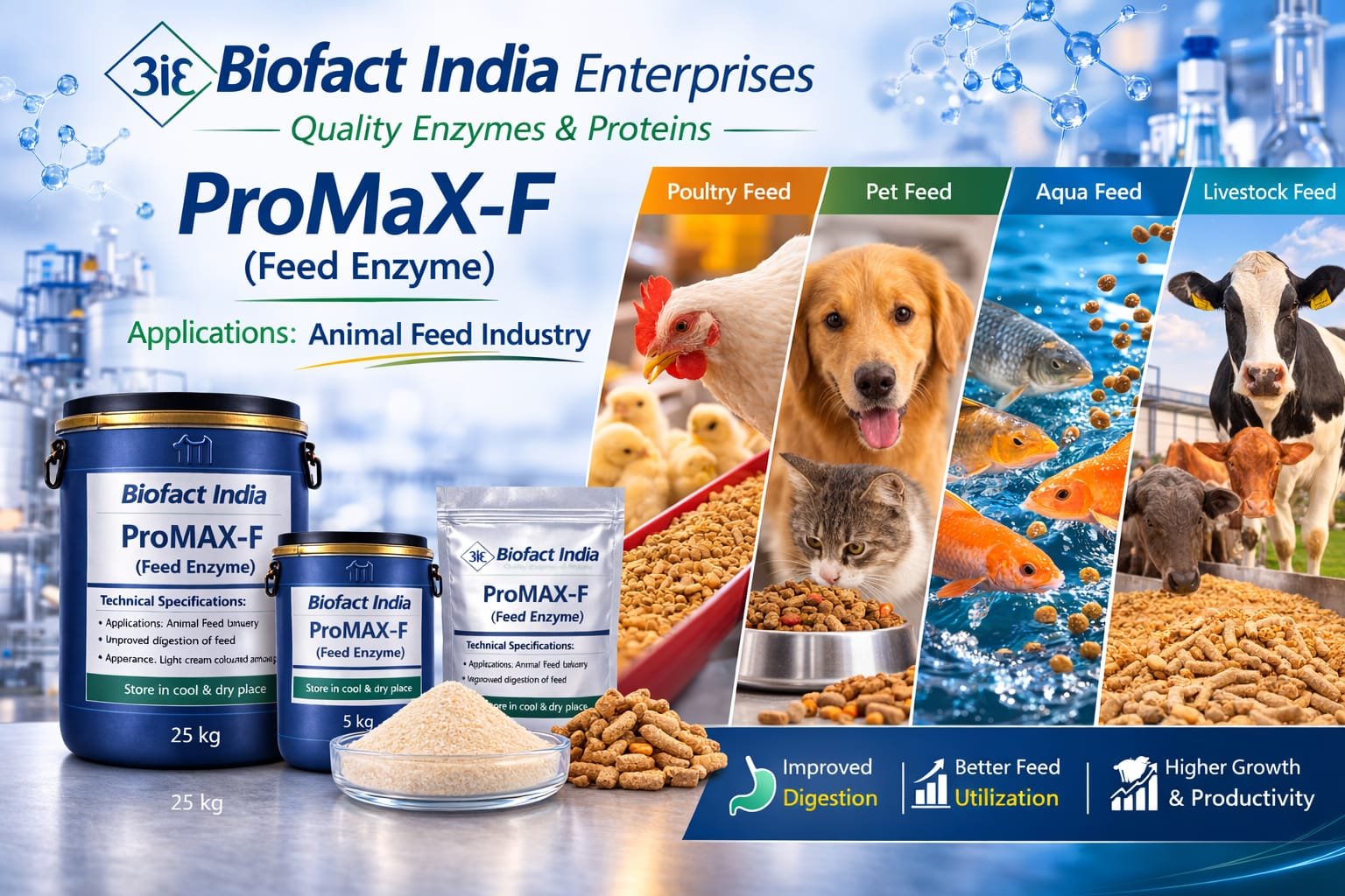 Feed Enzyme