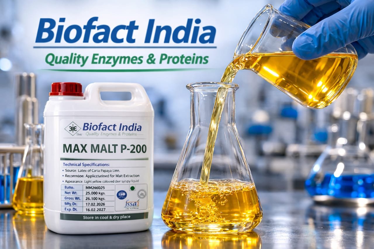 Max Malt P-200 – Malt Enzyme - Image 2