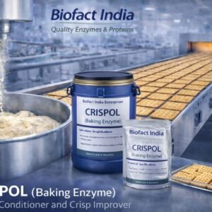 Baking Enzyme
