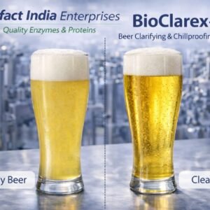 Beer Enzyme