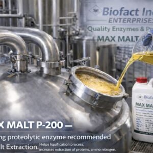 Malt Enzyme